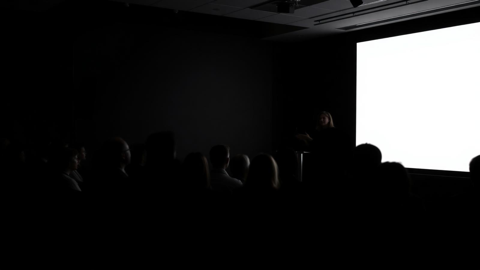 Consultant presenting a growth strategy